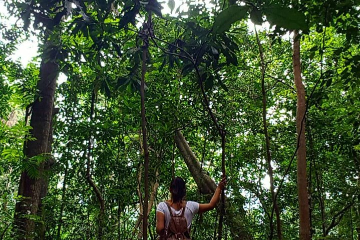 Private Bird watching and Nature trekking in Udawatta Kele Sanctuary - Photo 1 of 5
